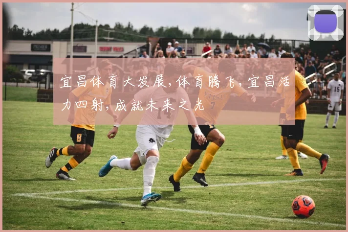 宜昌体育大发展,体育腾飞,宜昌活力四射,成就未来之光