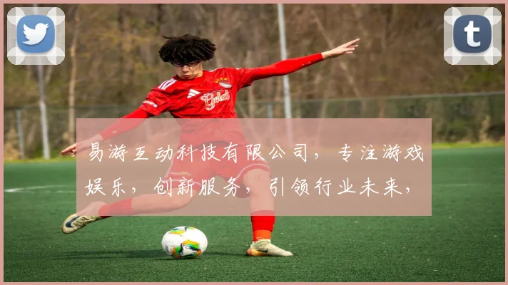 易游互动科技有限公司，专注游戏娱乐，创新服务，引领行业未来，成就无限可能