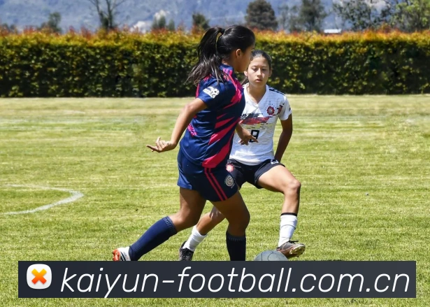 开云足球APP 高清赛事图